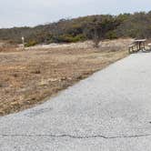 Review photo of Assateague State Park Campground by Jean C., July 30, 2021