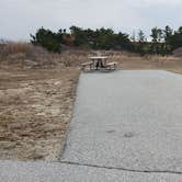 Review photo of Assateague State Park Campground by Jean C., July 30, 2021