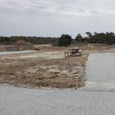 Review photo of Assateague State Park Campground by Jean C., July 30, 2021