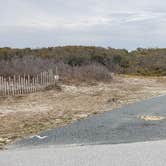 Review photo of Assateague State Park Campground by Jean C., July 30, 2021