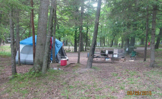Lisa J.'s photo at Brunet Island State Park Campground near Ladysmith, WI