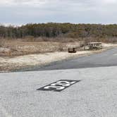 Review photo of Assateague State Park Campground by Jean C., July 30, 2021