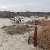 Review photo of Assateague State Park Campground by Jean C., July 30, 2021