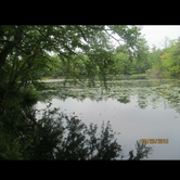 Review photo of Brunet Island State Park Campground by Lisa J., June 17, 2018