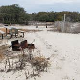 Review photo of Assateague State Park Campground by Jean C., July 30, 2021