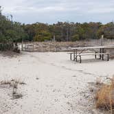 Review photo of Assateague State Park Campground by Jean C., July 30, 2021