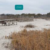 Review photo of Assateague State Park Campground by Jean C., July 30, 2021