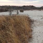 Review photo of Assateague State Park Campground by Jean C., July 30, 2021