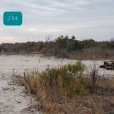 Review photo of Assateague State Park Campground by Jean C., July 30, 2021