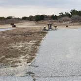 Review photo of Assateague State Park Campground by Jean C., July 30, 2021