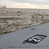 Review photo of Assateague State Park Campground by Jean C., July 30, 2021