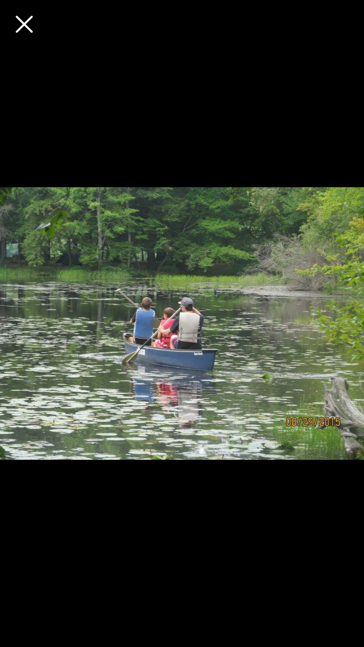 Camper submitted image from Brunet Island State Park Campground - 5