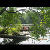 Review photo of Brunet Island State Park Campground by Lisa J., June 17, 2018