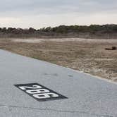 Review photo of Assateague State Park Campground by Jean C., July 30, 2021