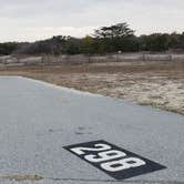 Review photo of Assateague State Park Campground by Jean C., July 30, 2021