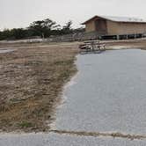 Review photo of Assateague State Park Campground by Jean C., July 30, 2021