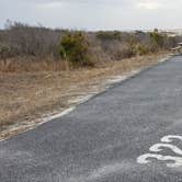 Review photo of Assateague State Park Campground by Jean C., July 30, 2021