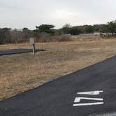 Review photo of Assateague State Park Campground by Jean C., July 30, 2021