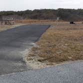 Review photo of Assateague State Park Campground by Jean C., July 30, 2021