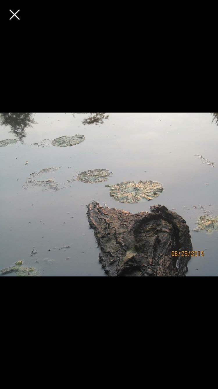 Camper-submitted photo at Brunet Island State Park Campground near Eau Claire, WI