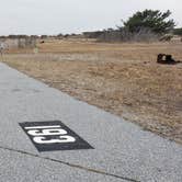 Review photo of Assateague State Park Campground by Jean C., July 30, 2021