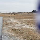 Review photo of Assateague State Park Campground by Jean C., July 30, 2021