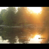 Review photo of Brunet Island State Park Campground by Lisa J., June 17, 2018