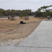 Review photo of Assateague State Park Campground by Jean C., July 30, 2021