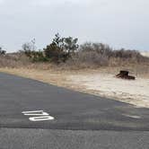 Review photo of Assateague State Park Campground by Jean C., July 30, 2021