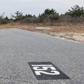 Review photo of Assateague State Park Campground by Jean C., July 30, 2021