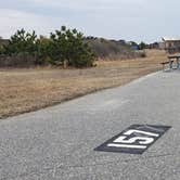 Review photo of Assateague State Park Campground by Jean C., July 30, 2021