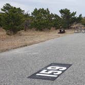 Review photo of Assateague State Park Campground by Jean C., July 30, 2021