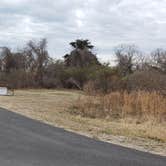 Review photo of Assateague State Park Campground by Jean C., July 30, 2021