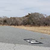 Review photo of Assateague State Park Campground by Jean C., July 30, 2021