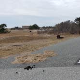 Review photo of Assateague State Park Campground by Jean C., July 30, 2021