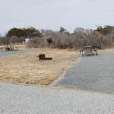 Review photo of Assateague State Park Campground by Jean C., July 30, 2021