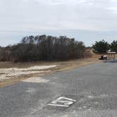 Review photo of Assateague State Park Campground by Jean C., July 30, 2021