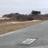 Review photo of Assateague State Park Campground by Jean C., July 30, 2021