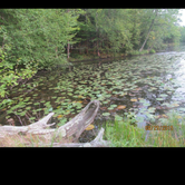 Review photo of Brunet Island State Park Campground by Lisa J., June 17, 2018