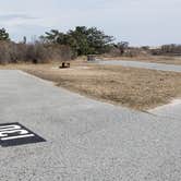 Review photo of Assateague State Park Campground by Jean C., July 30, 2021