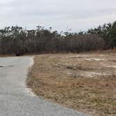 Review photo of Assateague State Park Campground by Jean C., July 30, 2021