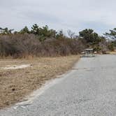 Review photo of Assateague State Park Campground by Jean C., July 30, 2021