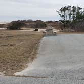 Review photo of Assateague State Park Campground by Jean C., July 30, 2021