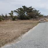 Review photo of Assateague State Park Campground by Jean C., July 30, 2021