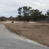 Review photo of Assateague State Park Campground by Jean C., July 30, 2021