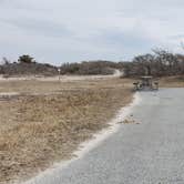 Review photo of Assateague State Park Campground by Jean C., July 30, 2021