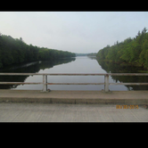 Review photo of Brunet Island State Park Campground by Lisa J., June 17, 2018