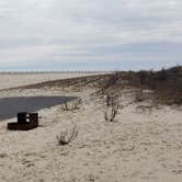 Review photo of Assateague State Park Campground by Jean C., July 30, 2021