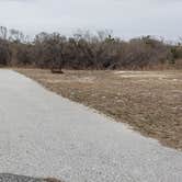 Review photo of Assateague State Park Campground by Jean C., July 30, 2021