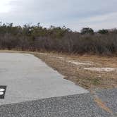 Review photo of Assateague State Park Campground by Jean C., July 30, 2021